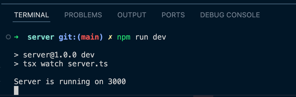 Terminal showing successful server startup message